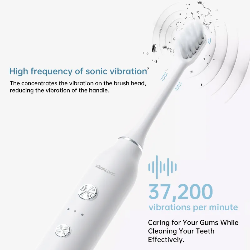T8 S18 Whitening Adult Sonic Electric Toothbrush With toothbrush head