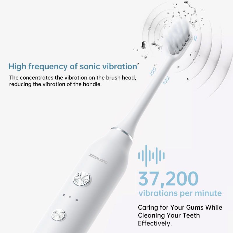 Hot Sell Teeth Whitening Sonic Electric Toothbrush Oral Tooth Brush Whitening Sonic Electric Toothbrush